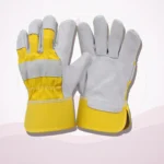Leather Gloves