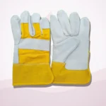 Leather Gloves